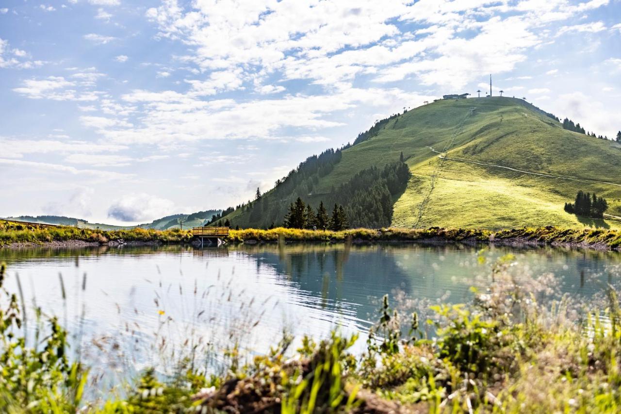 Brixental Suites Hopfgarten By Alps Resorts Хопфгартен-им-Бриксенталь Экстерьер фото